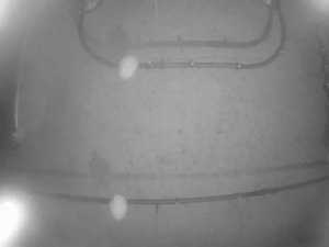 Caméra IP - Corée du Sud