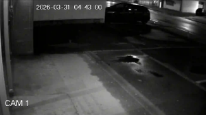 Caméra IP - Alemania