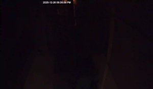 Caméra IP - Bahrain