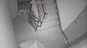 Caméra IP - South Korea