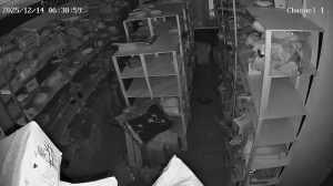 Caméra IP - Russische Föderation