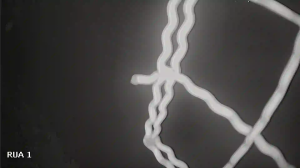 Caméra IP - Brasilien