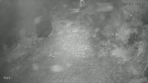 Caméra IP - South Korea