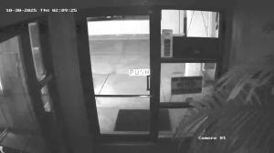 Caméra IP - Stati Uniti d'America