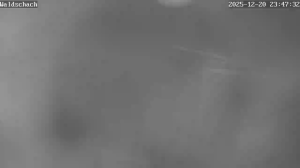 Caméra IP - Südafrika