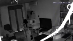 Caméra IP - Espagne