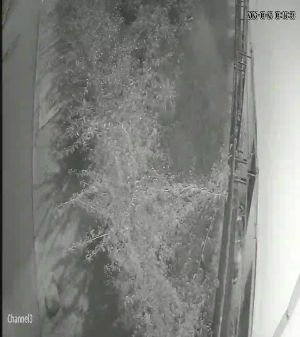 Caméra IP - Marruecos