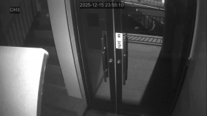 Caméra IP - South Korea