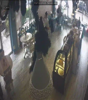 Caméra IP - Bulgarie