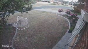 Caméra IP - Australia