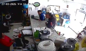 Caméra IP - Vue en direct