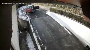 Caméra IP - Germany