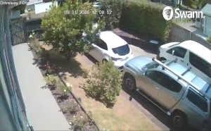 Caméra IP - Nuova Zelanda