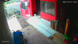 Caméra IP - Paraguay