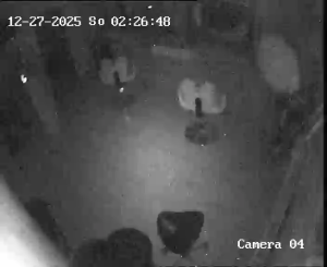 Caméra IP - Polonia