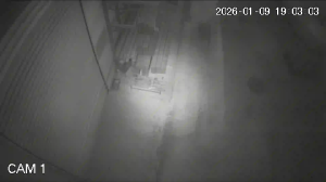 Caméra IP - Bulgaria