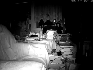 Caméra IP - Germany