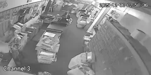 Caméra IP - Stati Uniti d'America