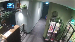 Caméra IP - Niederlande