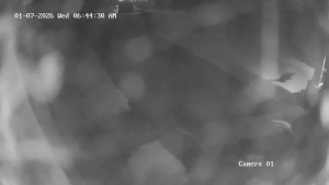 Caméra IP - United States of America