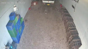 Caméra IP - Vietnam