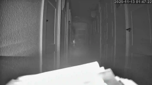 Caméra IP - Espagne