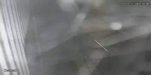 Caméra IP - Cile