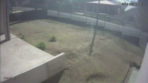 Caméra IP - Costa Rica