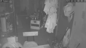 Caméra IP - Allemagne