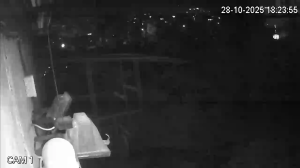 Caméra IP - Bulgaria