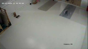 Caméra IP - South Korea