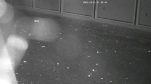 Caméra IP - Belgien