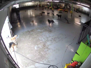 Caméra IP - Estados Unidos