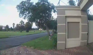 Caméra IP - South Africa