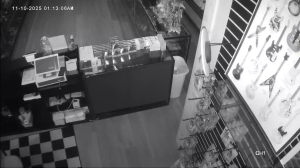 Caméra IP - United States of America