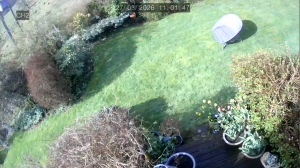 Caméra IP - United Kingdom