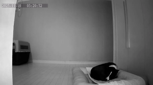 Caméra IP - South Korea