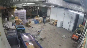 Caméra IP - Russian Federation