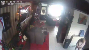 Caméra IP - Netherlands