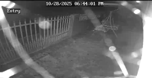 Caméra IP - Puerto Rico