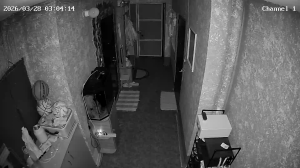 Caméra IP - Russian Federation