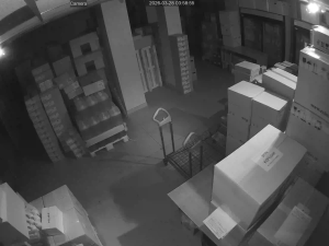 Caméra IP - Russische Föderation