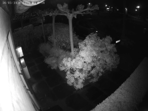 Caméra IP - Pays-Bas