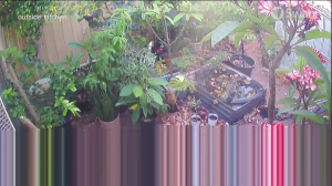 Caméra IP - Australie