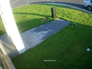 Caméra IP - Australien