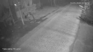 Caméra IP - Vietnam