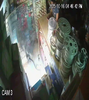 Caméra IP - Egypt