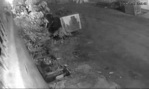 Caméra IP - Malaisie