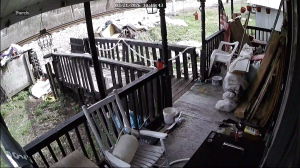 Caméra IP - Stati Uniti d'America