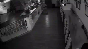 Caméra IP - Vereinigte Staaten von Amerika